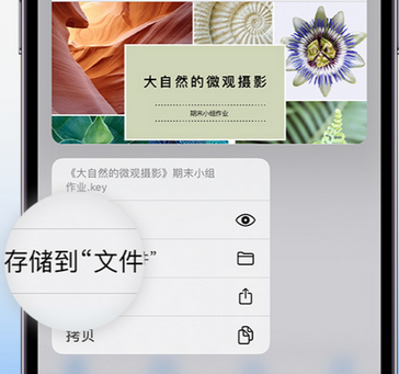 崇明apple维修中心分享iPhone文件应用中存储和找到下载文件