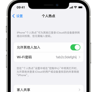 崇明apple服务站点分享iPhone上个人热点丢失了怎么办