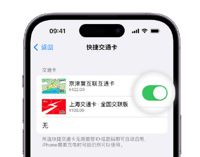 崇明apple维修点分享iPhone上更换Apple Pay快捷交通卡手绘卡面 