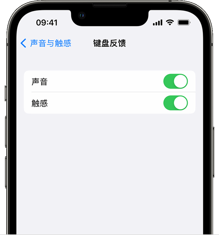 崇明苹果14维修店分享如何在 iPhone 14 机型中使用触感键盘 