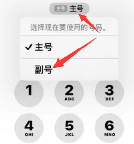 崇明苹果14维修店分享iPhone 14 Pro Max使用副卡打电话的方法 