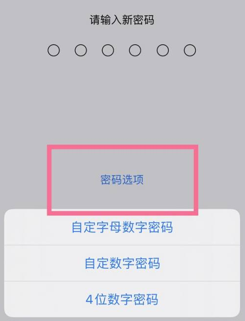 崇明苹果14维修分享iPhone 14plus设置密码的方法 