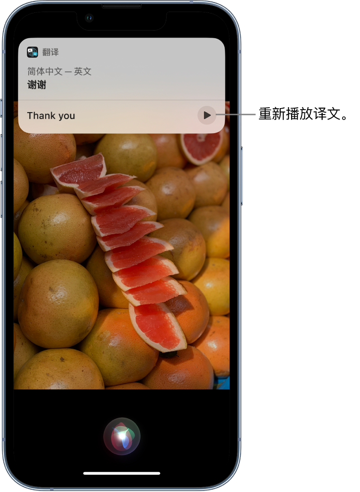 崇明苹果14维修分享 iPhone 14 机型中使用 Siri：了解 Siri 能帮你做什么 