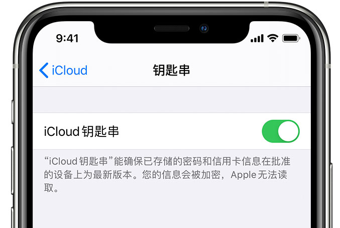 崇明苹果手机维修分享在 iPhone 上开启 iCloud 钥匙串之后会储存哪些信息 