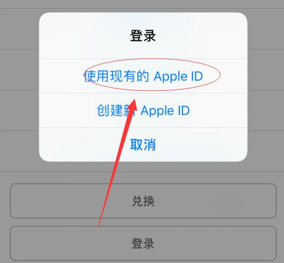 崇明苹果手机维修分享两台iPhone设备可以同时登录一个Apple ID吗 