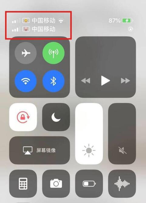 崇明苹果手机维修分享为 iPhone 12 双卡设置标签 